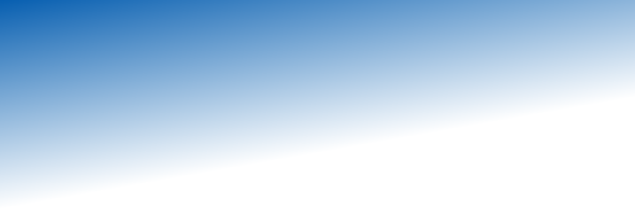 G_005aae_ffffff_10_30